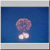 fireworks01.jpg