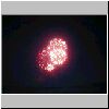 fireworks11.jpg
